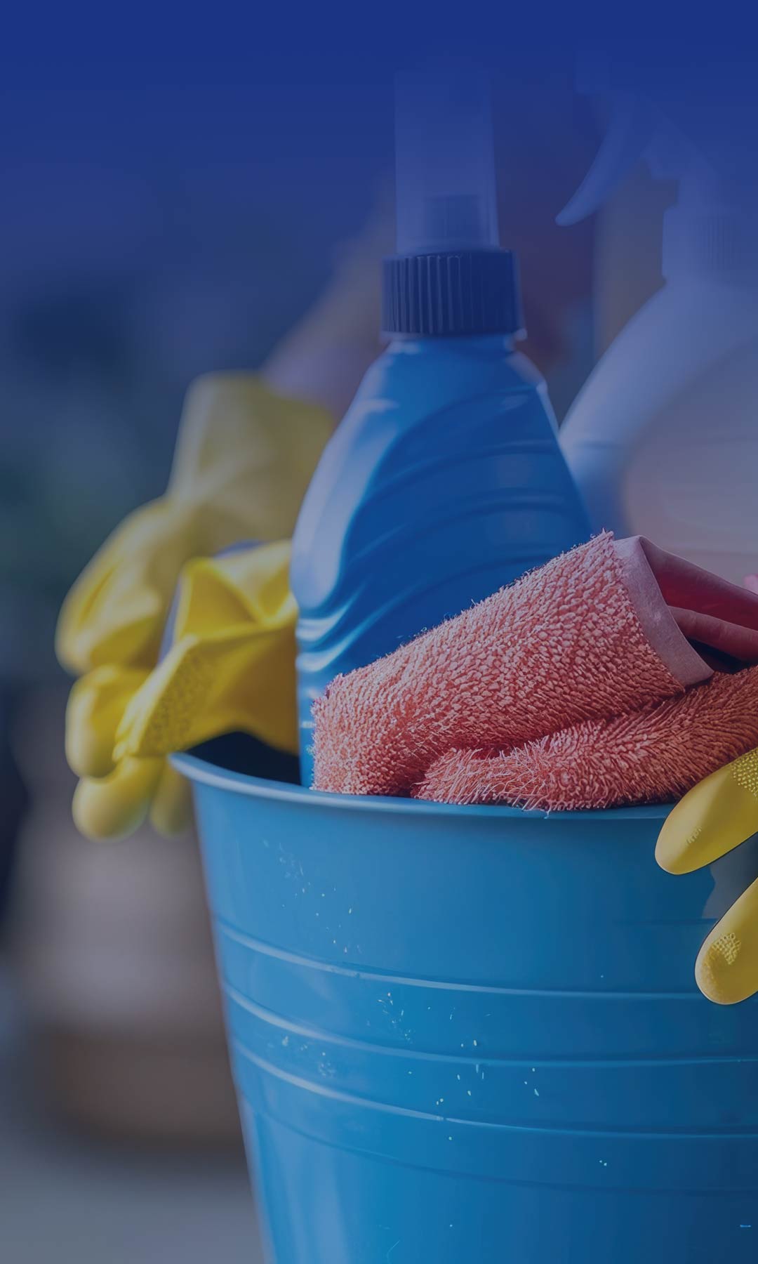 cleaning-cell